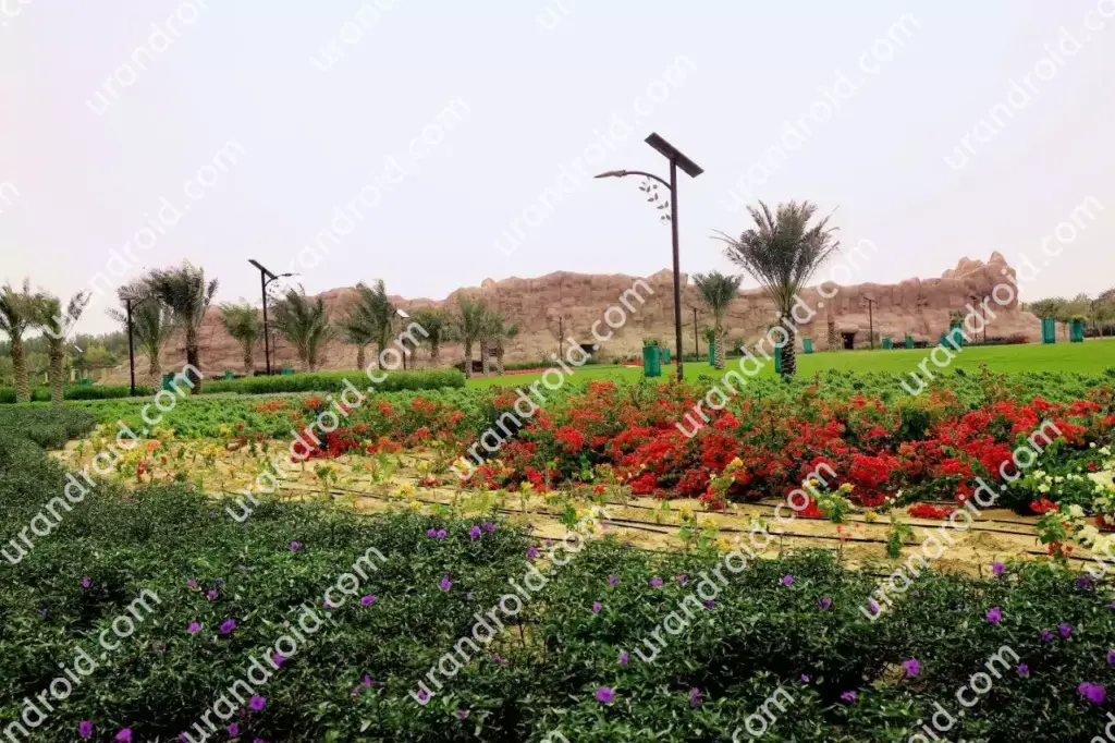 أفضل حدائق الإمارات العامة