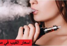 اسعار الفيب في مصر