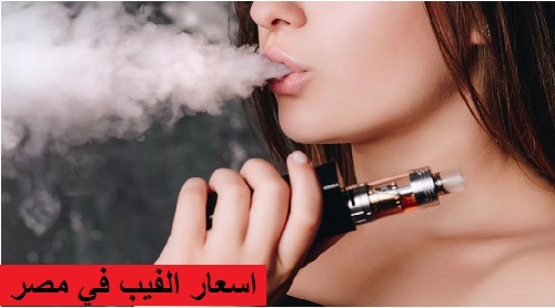 اسعار الفيب في مصر