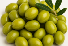 اسعار الزيتون الاخضر