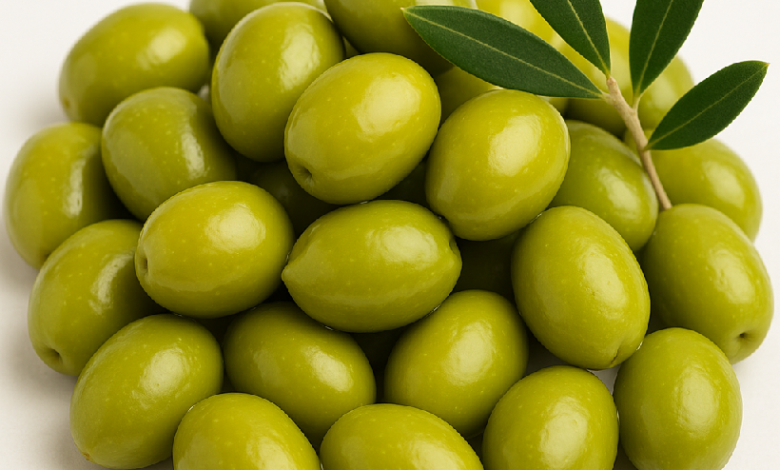 اسعار الزيتون الاخضر